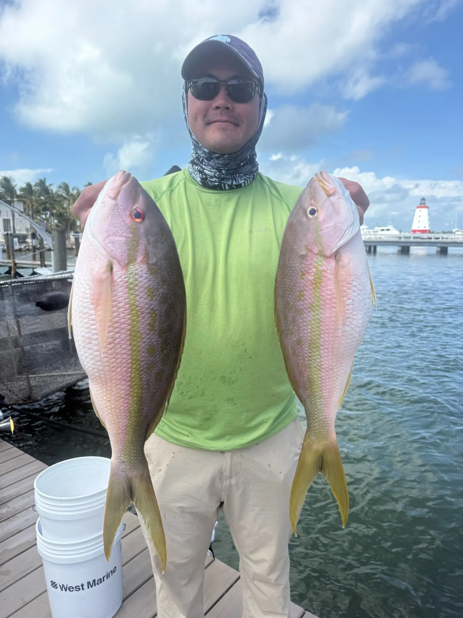 Angler with two yellowtail snappers
