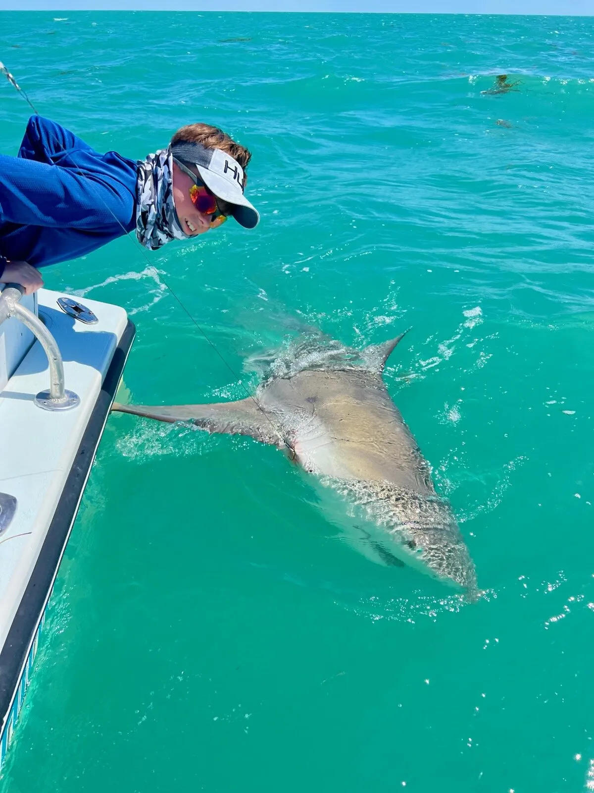 Shark released beside the boat