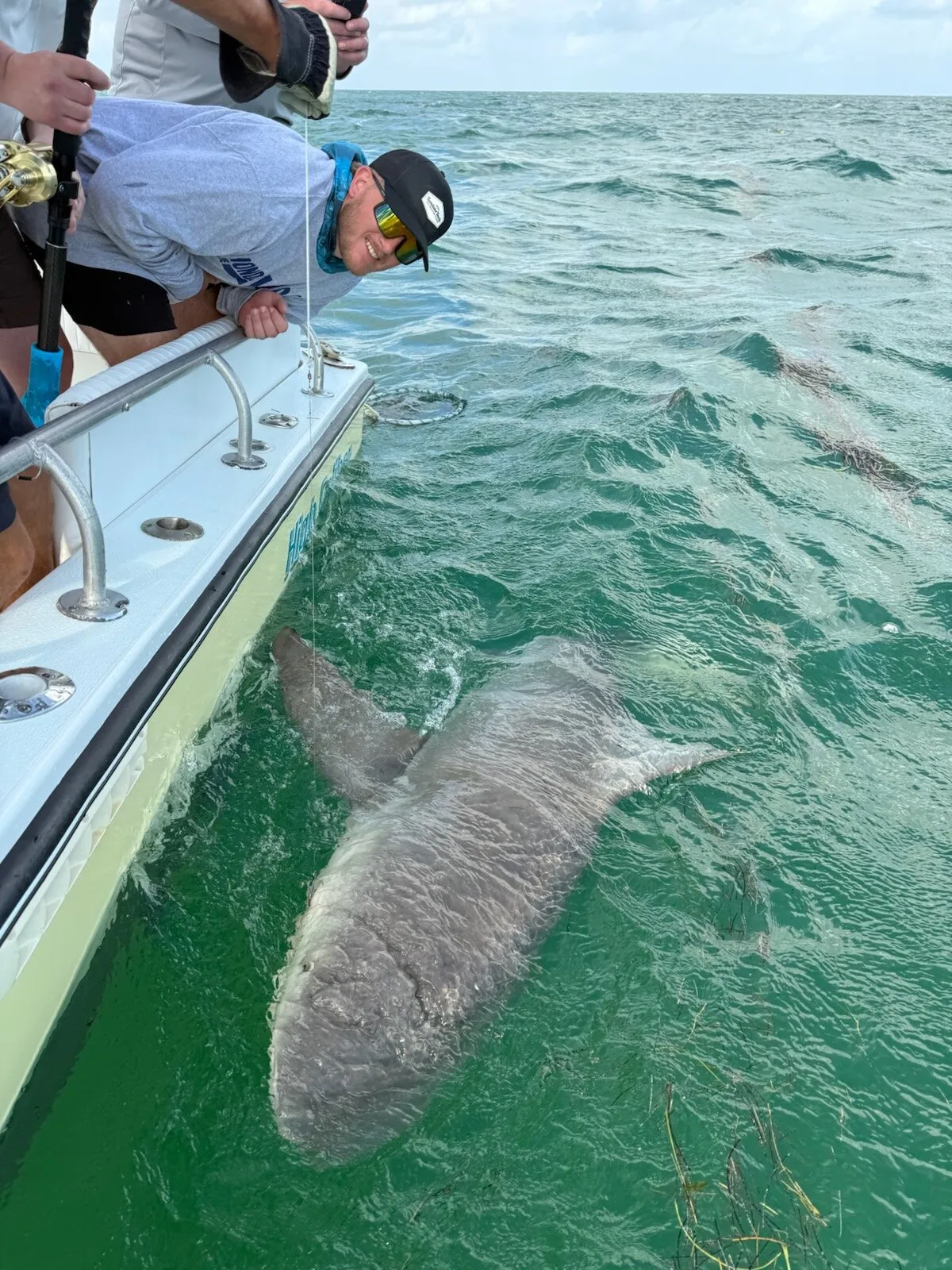 Shark swimming beside the boat