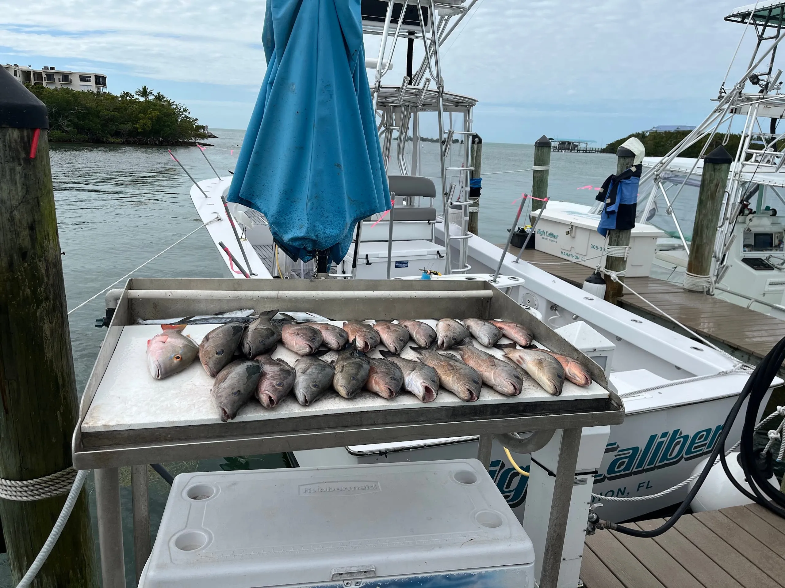 Snapper on the cleaning table